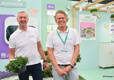 Jerrie van Leeuwen and Ewoud van Meeuwissen of Addenda gave extra focus to their Petita Hebe Addenda Line and the Donna Alina. The Donna Alina is a small flowered short plant that blooms until late autumn.